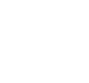 Imagem com o símbolo da faculdade de medicina, que é um leão com escritos faculdade de Medina e UFMG embaixo com tudo na cor branco.